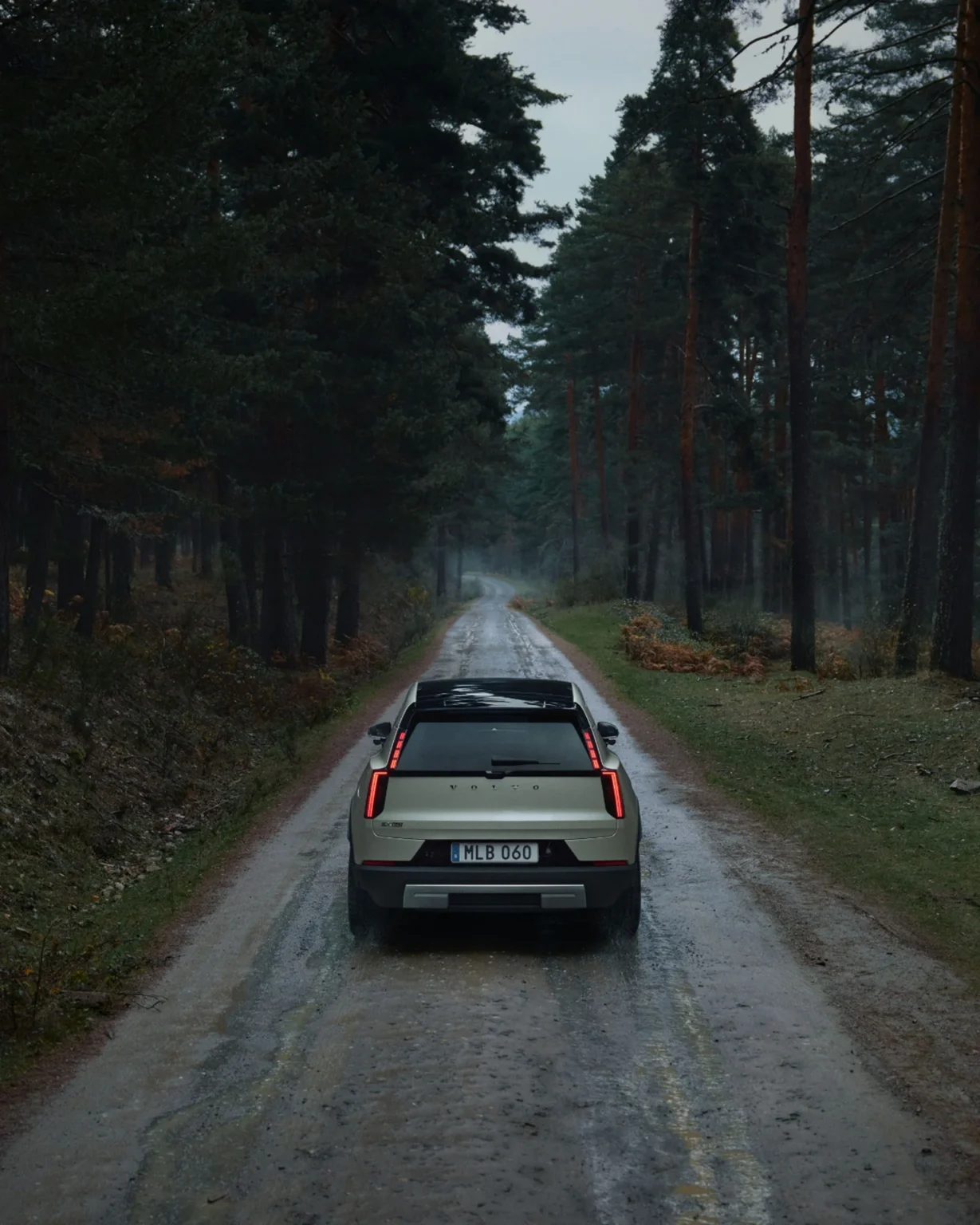 Rear of a Volvo EX60 Cross Country driving on a wet road through a pine forest