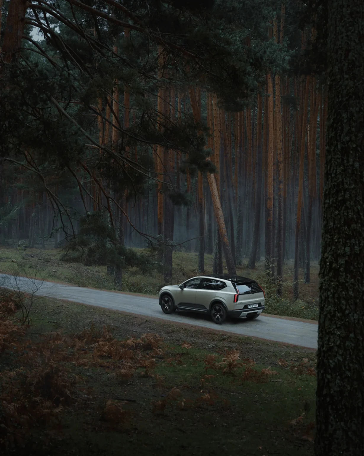 Volvo EX60 Cross Country driving on a road between tall pine trees