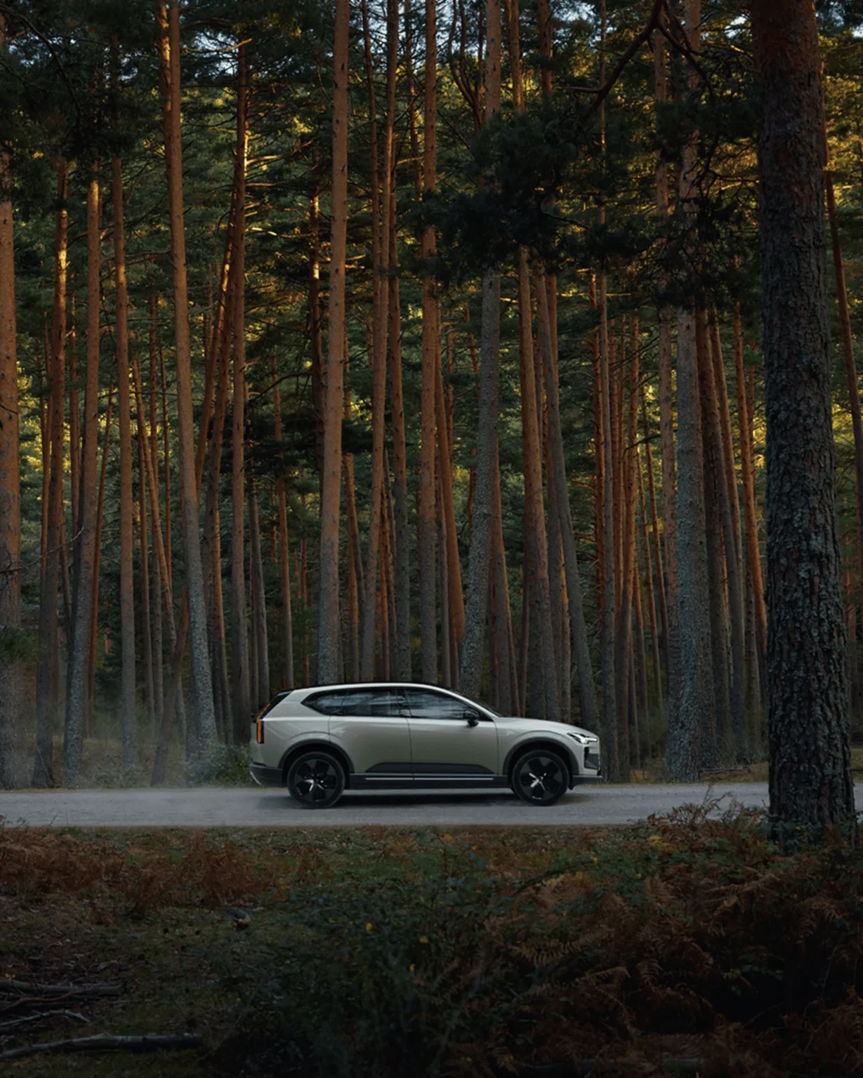 Side view of a Volvo EX60 Cross Country driving through a pine forest